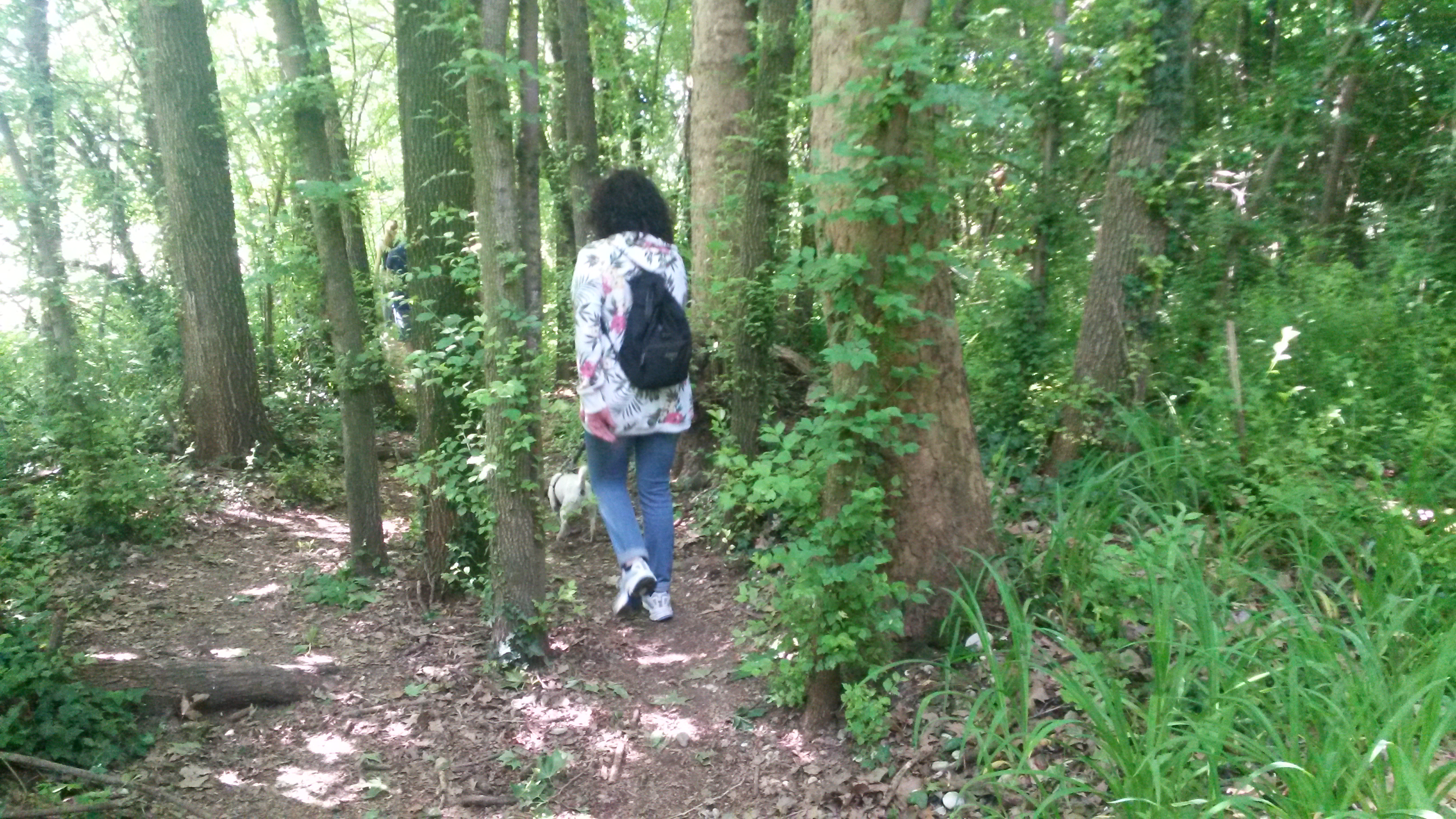 20150517_104802
