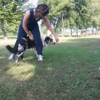 corsi individuali