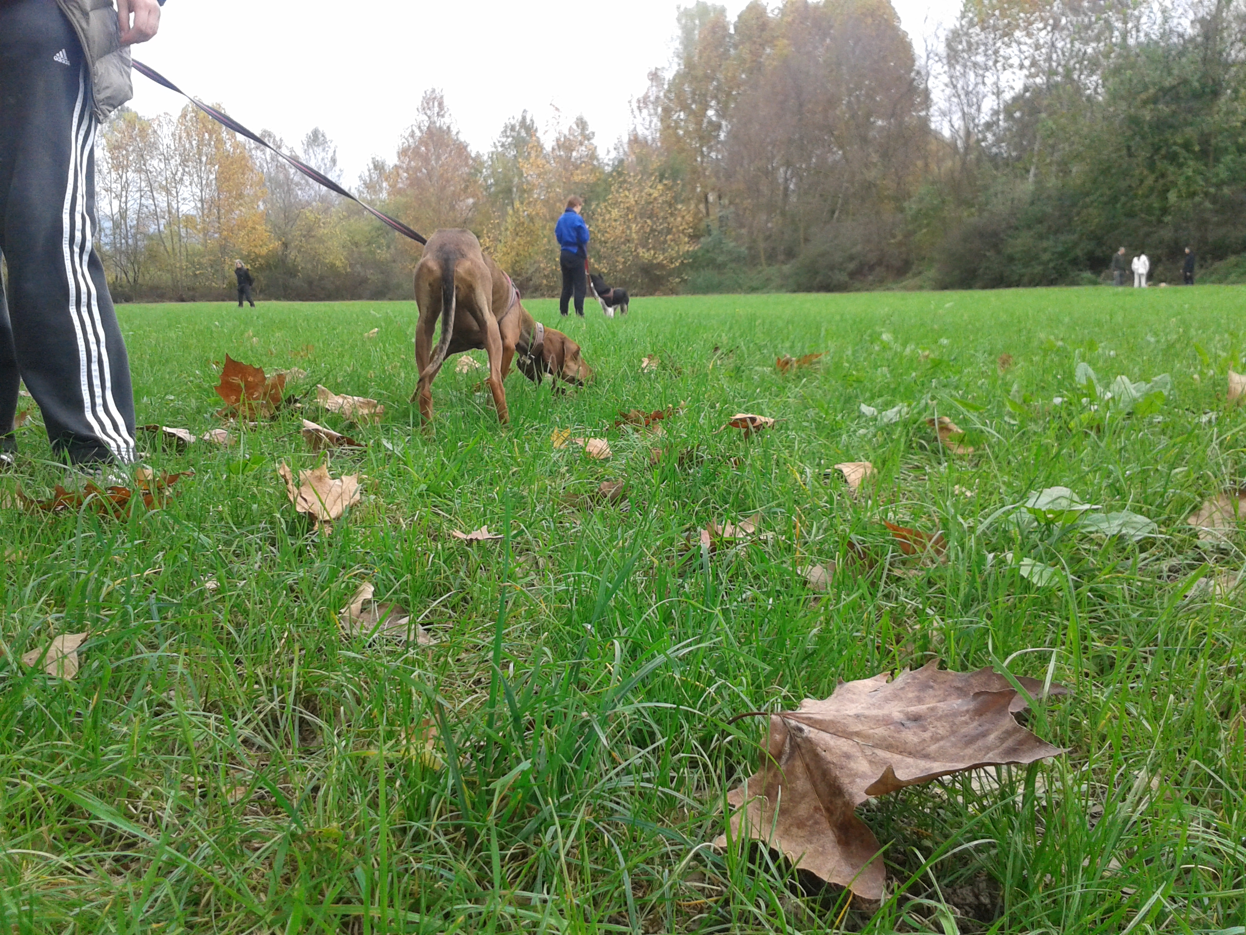 2013-11-10 11.38.38
