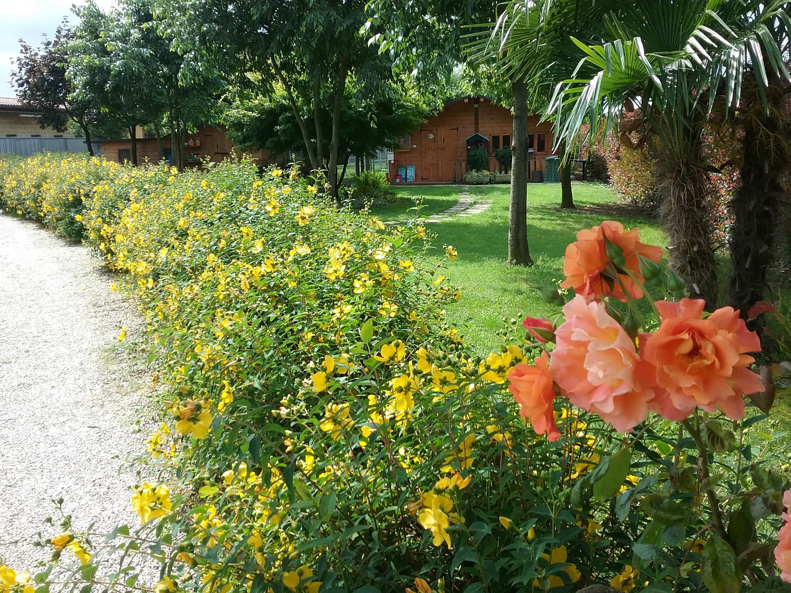 home6