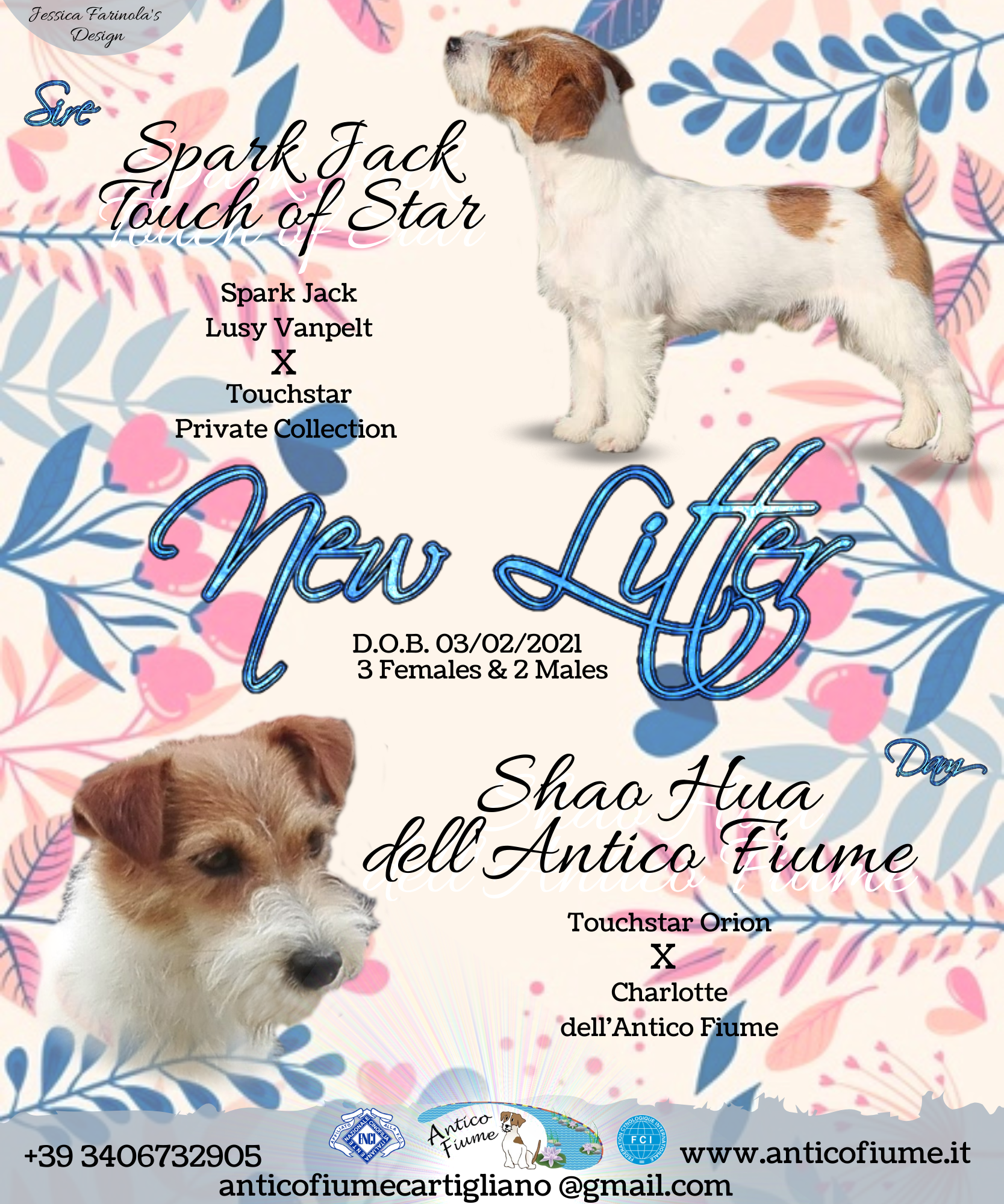 LITTER Shao